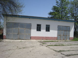 Complexul de producere în r-nul Ștefan Vodă, s. Carahasani foto 8