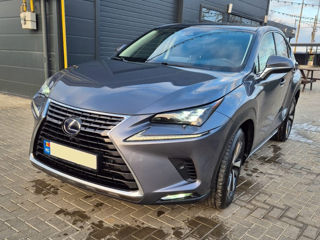 Lexus NX Series