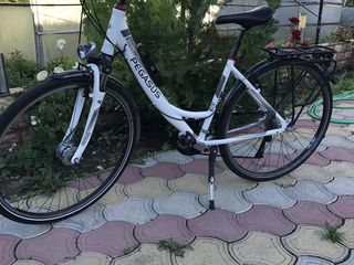Bicicleta Pegasus Solero! foto 1