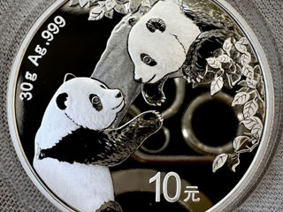 Серебряная панда