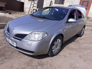 Nissan Primera foto 4