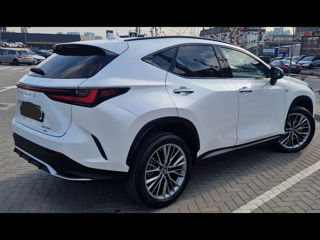 Lexus NX Series foto 3