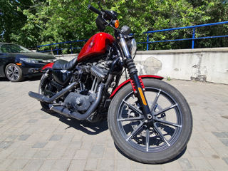 Harley - davidson iron 883 foto 2
