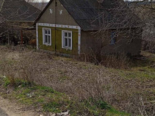 Приднестровье г.Дубоссары продам дом foto 5