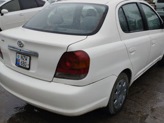 Toyota Echo foto 6