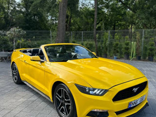 Ford Mustang foto 18
