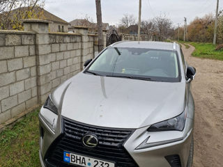 Lexus NX Series foto 5