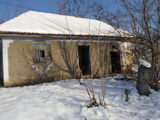 Дом и огород в с. Штубиень, р-н Рышкань - общая площадь 50 соток foto 4