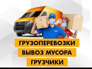 Hamali&transport 24/7 foto 7