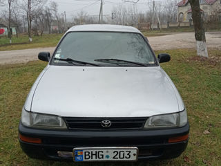 Toyota Corolla foto 10