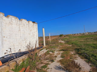 Casa, depozite,  teren 6.7ha+ livada de nuci+sistem fotovoltaic foto 5