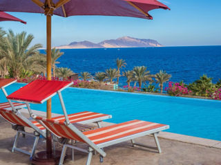 Египет - Шарм эль ШейхBest Price Grand Rotana Resort & Spa 5* foto 2