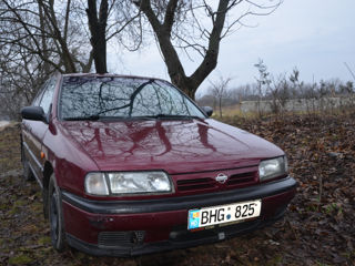 Nissan Primera foto 6