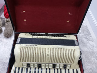 Hohner Tango5 M foto 2