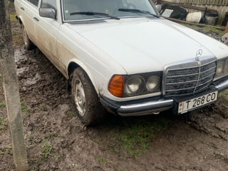 W123 foto 2