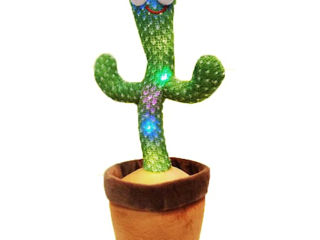 Cactus Dansator si Vorbitor de jucarie repeta, melodii, lumini foto 1