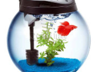 Куплю Нано аквариум, кому срочно нужны деньги или аквариум обычный круглый. foto 1