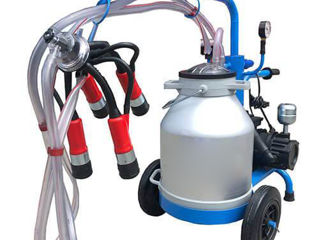 Aparat de muls vaci cu vacuum tank, 1 post, 1 bidon 30l/Доильный аппарат для коров с вакуумным насос foto 1