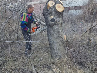 Curatare teren Уборка территорий сада огорода Curat la vila foto 4