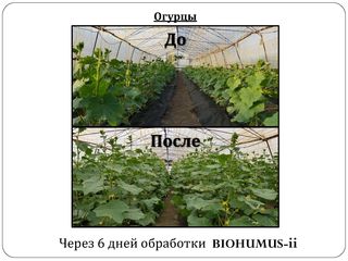 Биоудобрения biohumus-ii foto 10