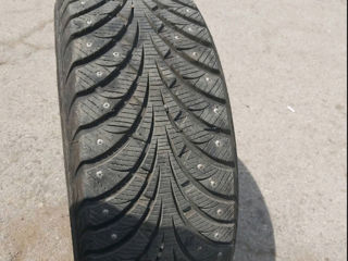 Sava 205/55R16