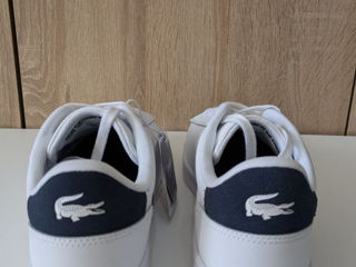 Lacoste 43 foto 2