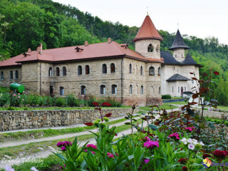 Паломничествa в 11 монастырей молдовы-2024, 25 предложений, ежедневно, 1 день foto 3