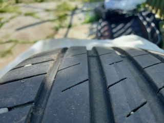 205.55.R16 Goodyear Efficientgrip лето foto 5