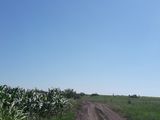 Vând teren agricol/arabil bubuieci foto 2