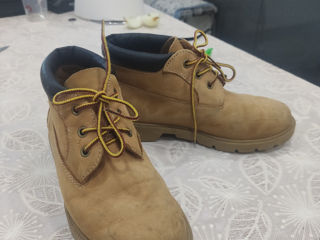 Botine Timberland