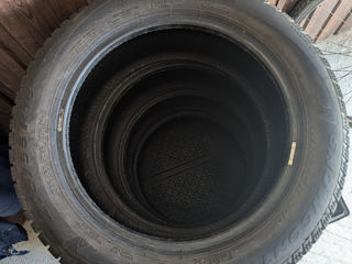 Pirelli 205/55/R16 foto 6