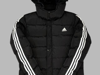 Adidas Nike Prada The North Face foto 5