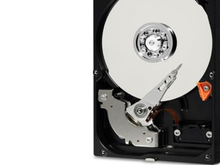 Hdd 500GB WESTERN DIGITAL foto 2