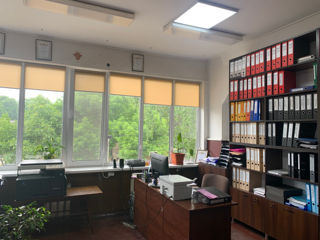 Arenda Oficiu 33 mp, 3500 lei Centu, Balti, str. Mihai Viteazul, 18, ferestre mari spre parcul verde