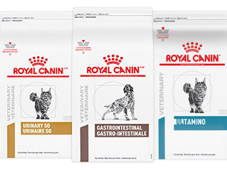 Лечебные корма Royal Canin для кошек и собак Бельцы.