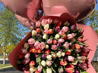 Trandafiri 60cm, 70cm, 80cm, 100cm ! Oferte promotionale!! foto 5