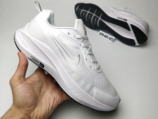 nike pegasus v10