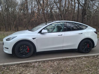 Tesla Model Y foto 6