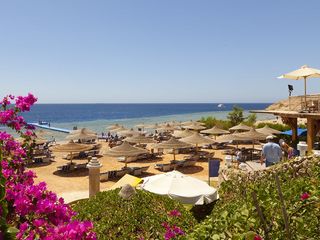 Sierra Sharm El Sheikh 5*! Бухта Sharks Bay, прогулки на площади Soho! foto 2