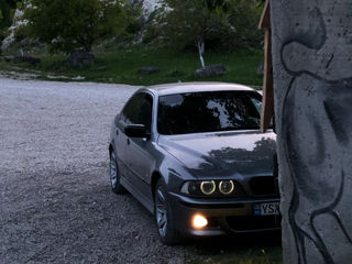 BMW 5 Series foto 3