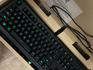 Razer Cynosa Tastatura foto 4