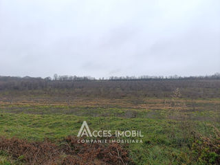 Lot de teren agricol, 244 ari. Dolinnoe, Valea Coloniței! foto 6