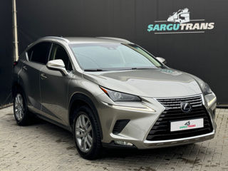 Lexus NX Series