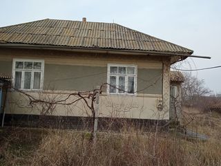 Casa in satul Fetesti rn. Edinet foto 3