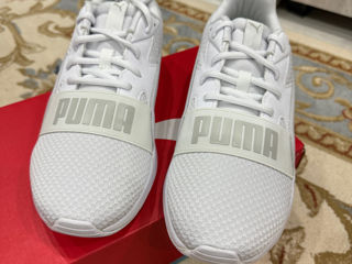 Puma /CHampion foto 4