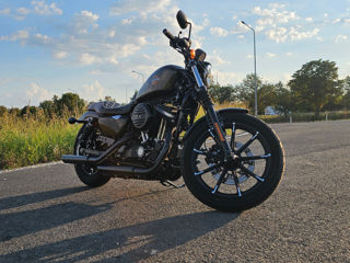 Harley - Davidson Sportster Iron 883 foto 2