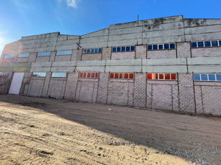 Depozit. Spatiu de productie. Производственные помещения. Industrial premises. foto 17