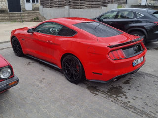 Ford Mustang foto 4