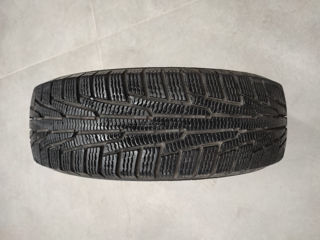 175/70 R14 Nokian Hakkapelita 88R XL foto 2