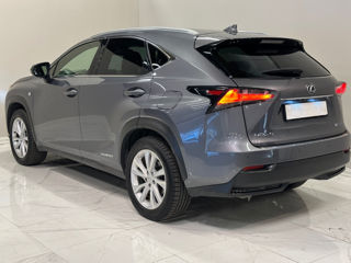 Lexus NX Series foto 4